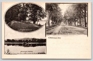 Owego New York Vignettes~Front & Main Streets~Barton's Ferry~c1905 Strait Estate 