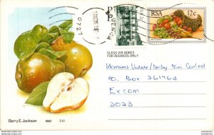 RSA South Africa Postal Stationery Pear to Excom