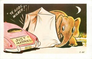 Postcard 1950s Camping Elephant trunk sex comic humor TP24-3218