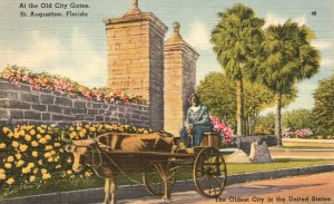 Vintage Postcard At Old City Gates Remaining Portion Of Wall St. Augustine FL