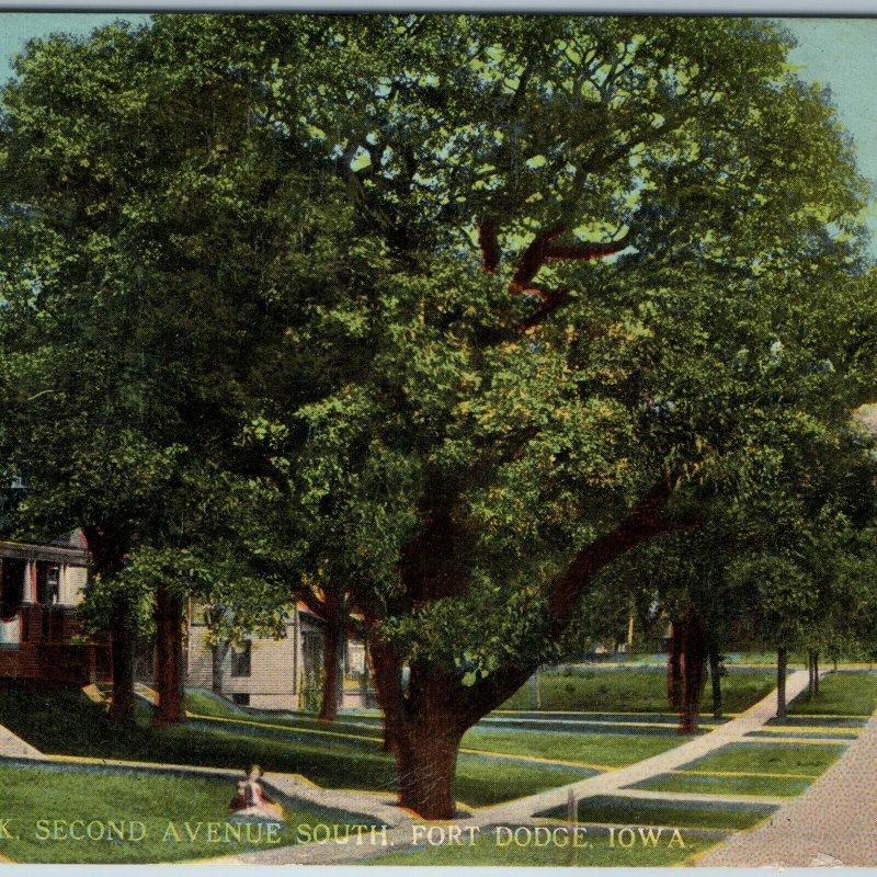 c1910s Fort Dodge, IA Hawkeye Oak Second 2nd Ave South Street Postcard Ft A196