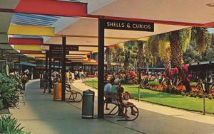 Silver Springs FL Fla Florida Promenade Shells & Curios Vintage Postcard E3
