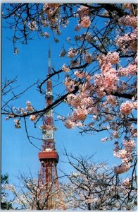 M-44124 Tokyo Tower and Cherry Blossoms Tokyo Japan