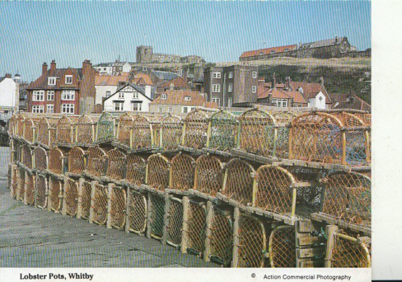 Yorkshire Postcard - Lobster Pots - Whitby - Ref 20558A