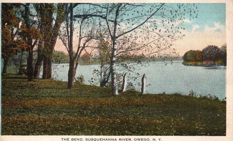 Vintage Postcard 1919 The Bend Susquehanna River Trees Fall Owego New ...