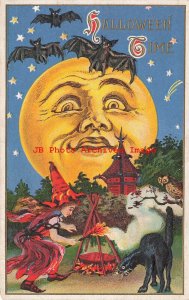 Halloween, Lion's Head No 116-10, Full Moon Face, Witch Building Fire, Black Cat 