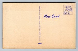 Comic Risque Things Are Looking Better Up Ahead Ladies! UNP Linen Postcard N6