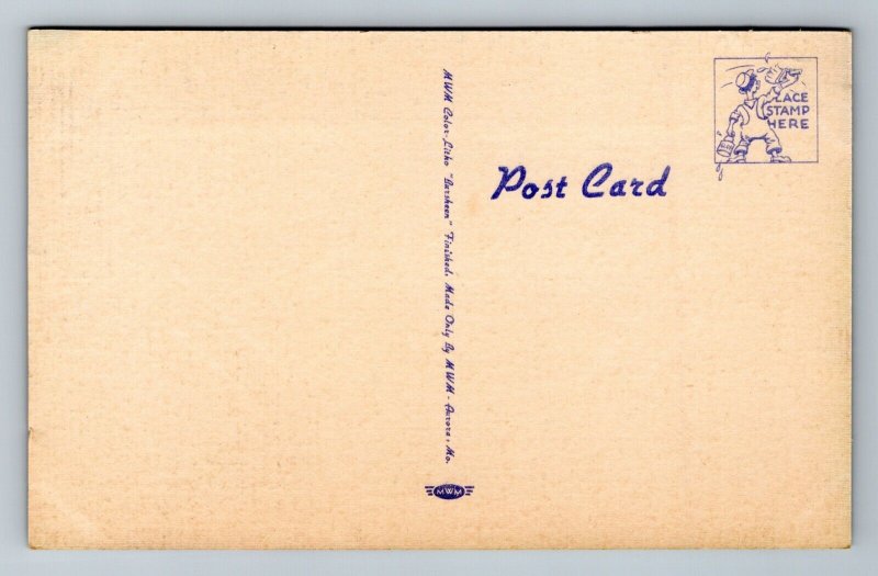 Comic Risque Things Are Looking Better Up Ahead Ladies! UNP Linen Postcard N6