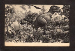 CT Dinosaurs Reptiles Museum Yale University New Haven Connecticut Postcard