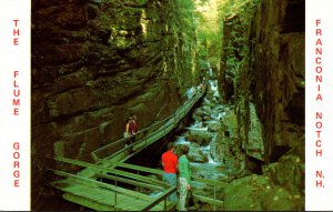 New Hampshire White Mountains Franconia Notch The Flume Gorge