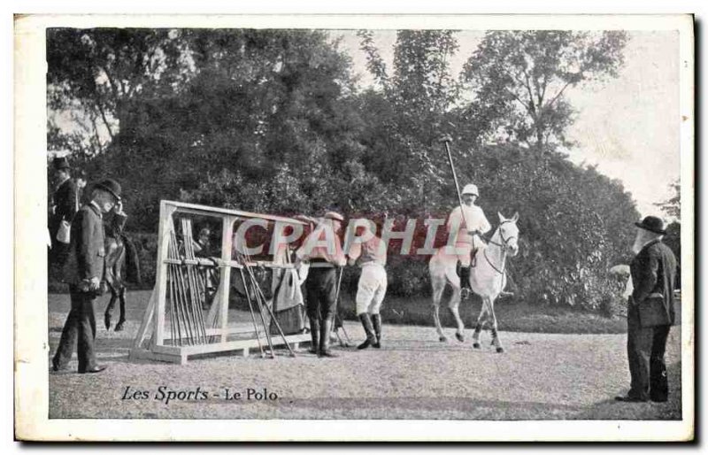 Old Postcard The Horse polo