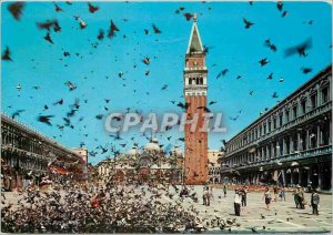 Modern Postcard Venezia St. Mark Volee pigeons