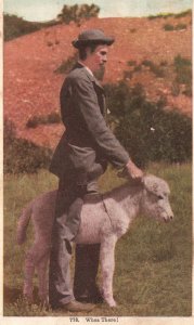 Vintage Postcard 1909 Who's There Little Pony Animal Souvenir Card Remembrance