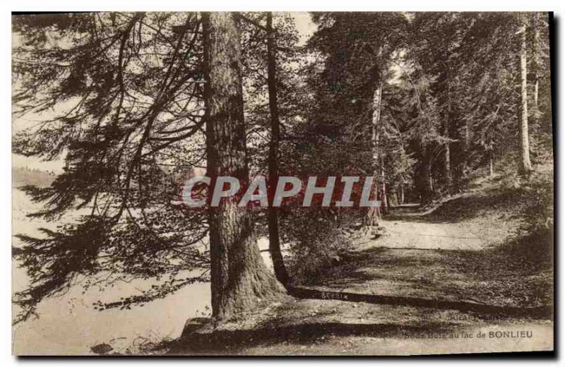 Postcard Old S Wood Lake Bonlieu