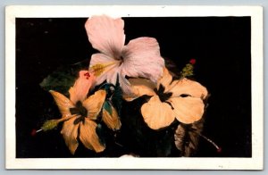 RPPC  Colored  Sunset Scene Hawaii  Hibiscus Flower  Real Photo Postcard  c1930