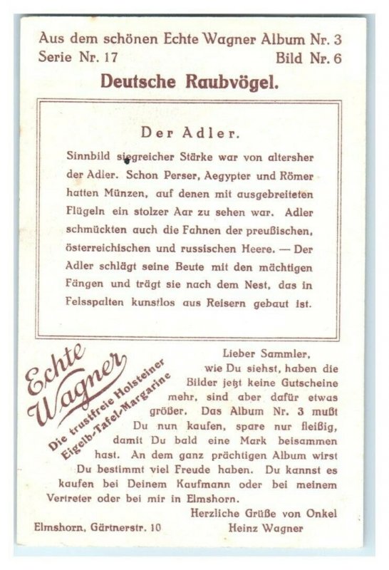 Eagle, German Birds of Prey, Echte Wagner Trade Card *VT31T