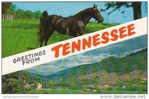 Greetings From Tennessee With Horse From Tanner's Stock Farm Near Franklin