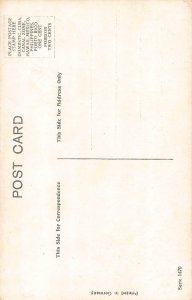 Animals Anthropomorphic Humanized Cats Couple Love Romance postcard B923