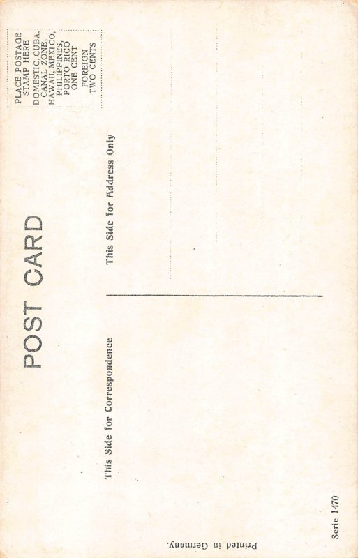 Animals Anthropomorphic Humanized Cats Couple Love Romance postcard B923