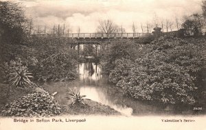 Vintage Postcard 1904 Bridge In Sefton Park Liverpool United Kingdom Valentines