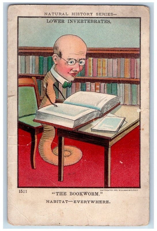 1916 The Brookworm Anthropomorphic Worm Lower Invertebrates Books Postcard