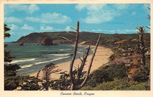 US33 postcard USA Oregon Cannon beach Haystack rock Tillamook head HGW#101