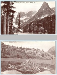 2 Postcards ESTES PARK, CO Rocky Mountain National Park ODESSA LAKE, LILY LAKE 