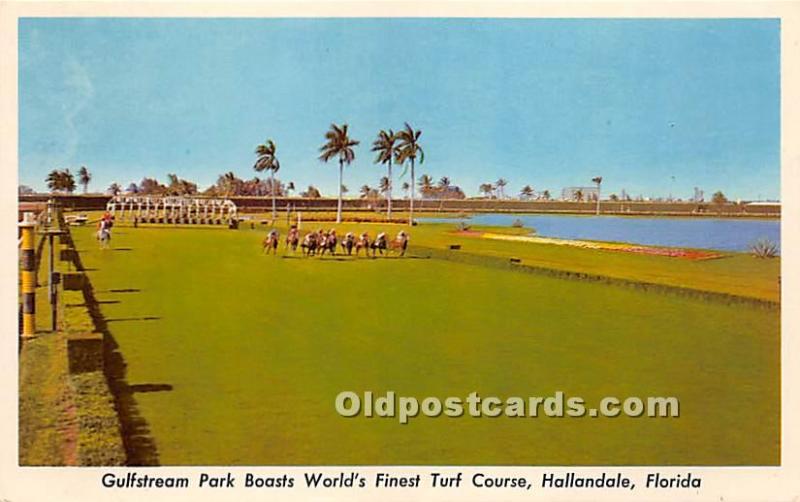 Gulfstream Park Boasts World's Finest Turf Course Hallandale, Florida, FL, US...