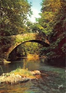 BR52642 Saint jean pied de port le pont romain d eyharalerry      France
