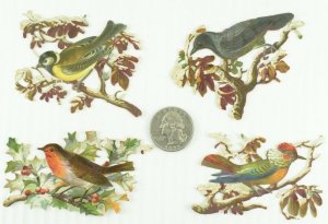 1880's Lovely Birds on Die Cut Snow Cover Branches Victorian Cards Lot of 4 PD96