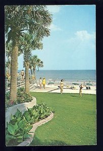 Myrtle Beach, South Carolina/SC Postcard, Family Beach, Palm Trees
