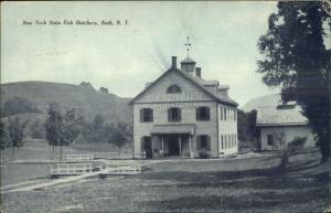 Bath NY State Fish Hatchery c1910 Postcard