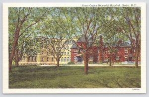 Linen~Arnot Ogden Memorial Hospital Elmira New York~Vintage Postcard