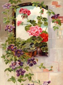C. 1910 Geraniums Morning Glory Window Flowers Valentine Vintage Postcard F24