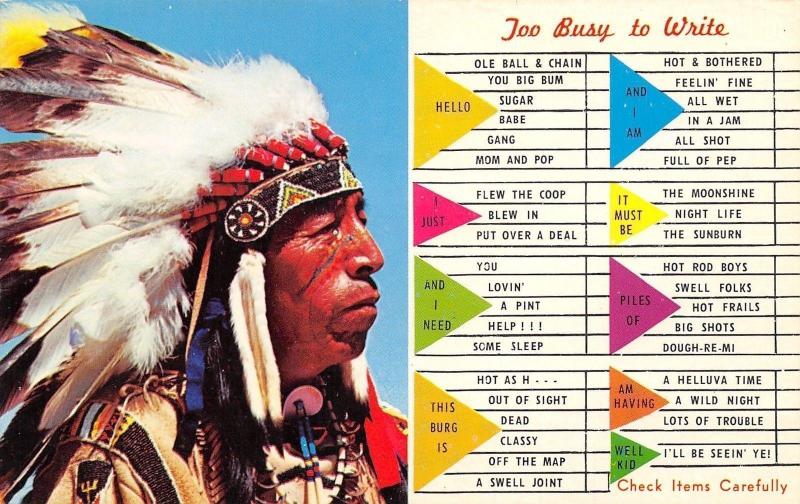 Busy Person Correspondence Card~Too Busy~Indian Chief~1960s Postcard 