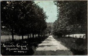 View Looking Up Lovers Lane, Spencer IN Vintage Postcard V34