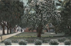 PASADENA, California, PU-1909; View on East Colorado Street