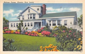 Chester New Jersey c1940 Postcard Melrose Farms