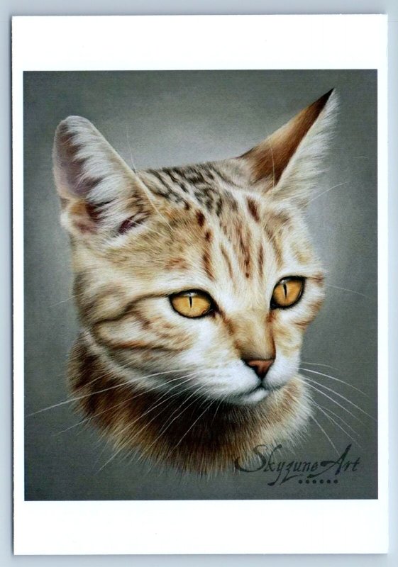 PENSIVE STRIPED CAT with yellow eyes Portrait ill. New Unposted Postcard