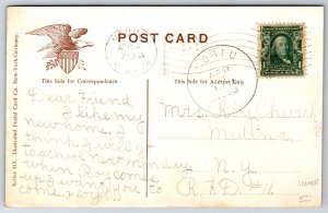 Artist August Muller~Red Pied Carrier Pigeon Bird~Message Attached To Leg~1908