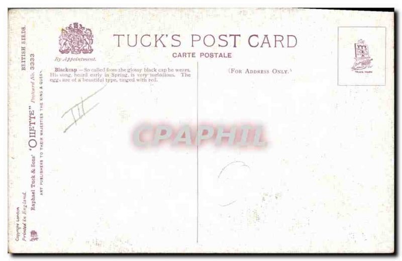 Old Postcard Blackcap