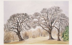 Hampstead Heath London Kenwood 1984 Painting Postcard