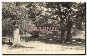 Old Postcard Foret De Fontainebleau Plateau De La Mare Aux Fees