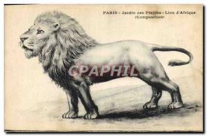 Old Postcard Paris Garden plants Lion & # 39Afrique