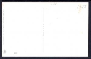 Three Siamese Kittens in a Basket Mainzer