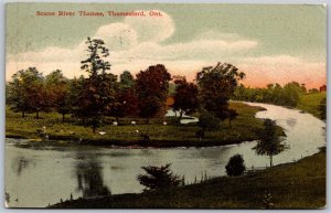 Postcard Thamesford Ontario c1910 Scene River Thames Oxford County by W. Oliver