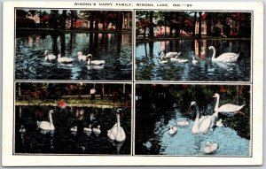 Winona's Lake Indiana, White Swans in Lake, Quartet of Cygnets, Vintage Postcard