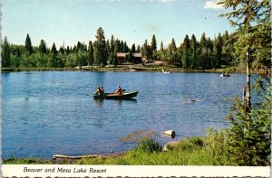 VINTAGE CONTINENTAL SIZE POSTCARD BEAVER LAKE & MESA LAKE RESORT COLORADO