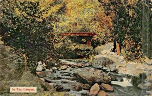 LOS ANGELES  CA CALIFORNIA~IN THE CANYON~1910s NEWMAN PUBLISHED POSTCARD