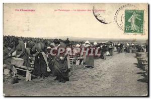 Postcard Folklore Old Vine Harvest The Champagne breakfast pickers